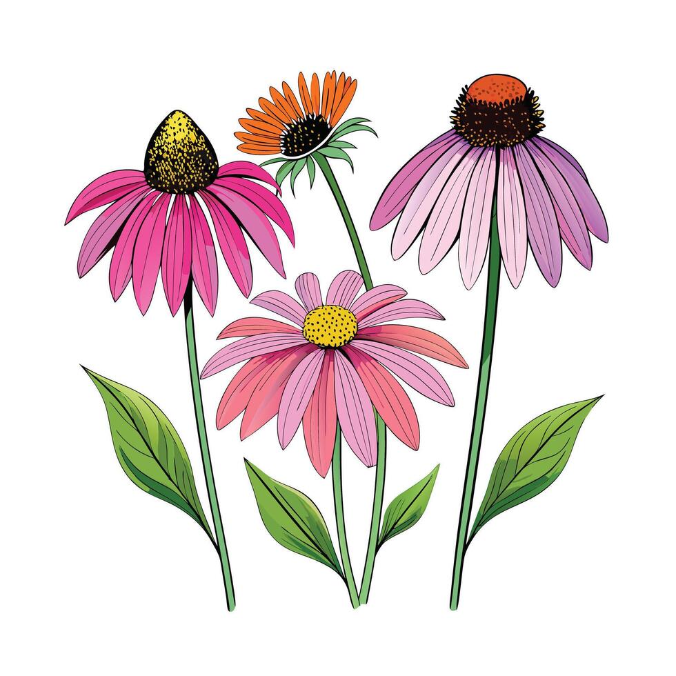 Realistic Beautiful Herbs Illustration vector