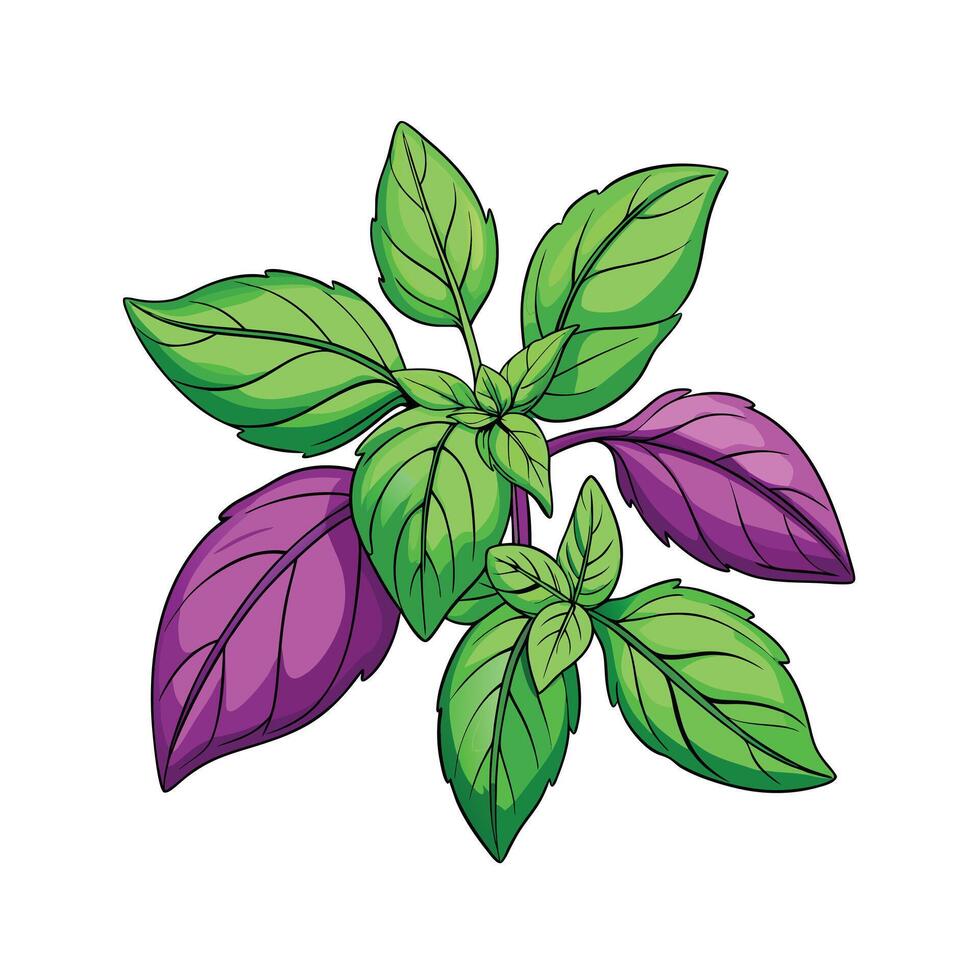Realistic Beautiful Herbs Illustration vector