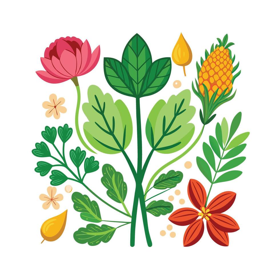 Realistic Beautiful Herbs Illustration vector