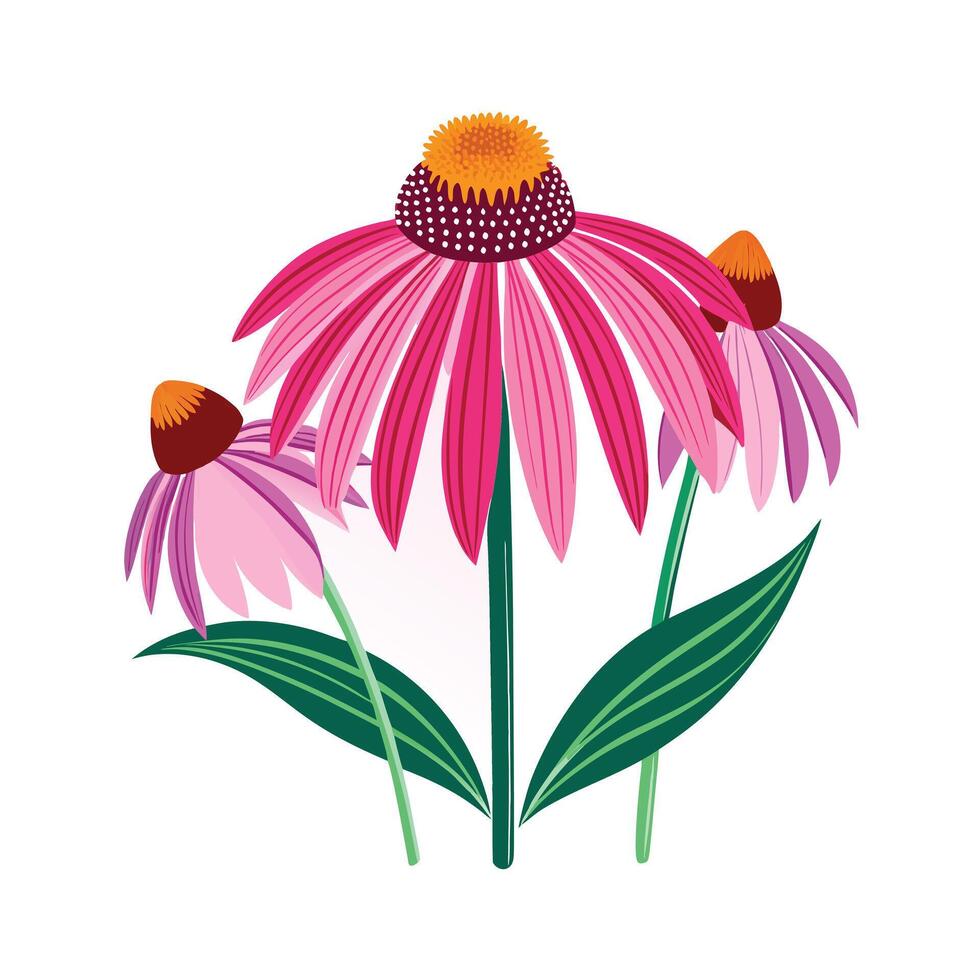 Realistic Beautiful Herbs Illustration vector