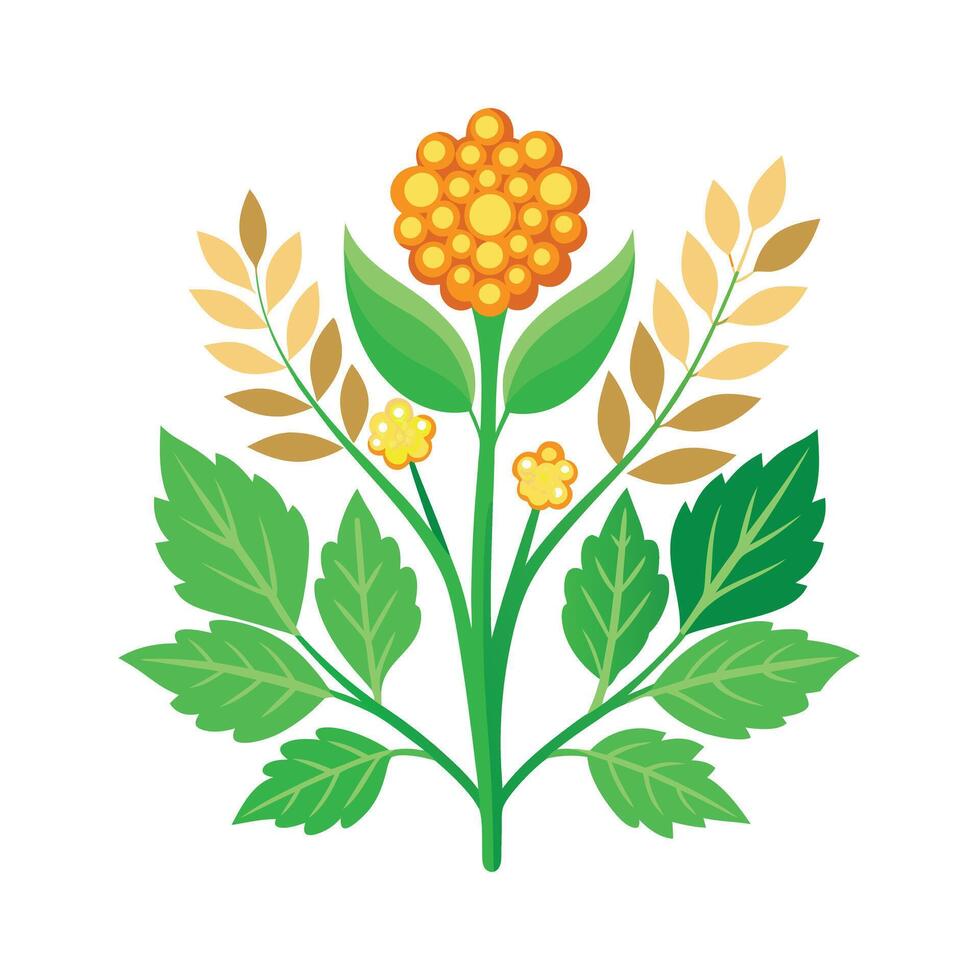 Realistic Beautiful Herbs Illustration vector