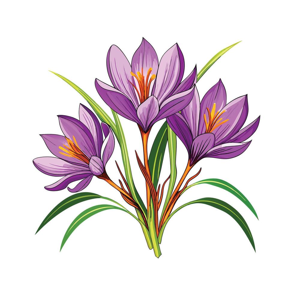 Realistic Beautiful Herbs Illustration vector