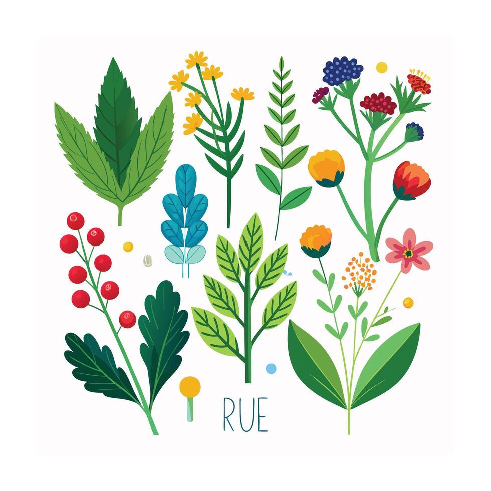 Realistic Beautiful Herbs Illustration vector