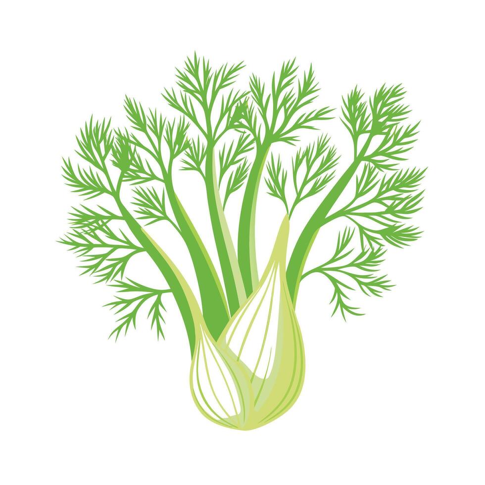 Realistic Beautiful Herbs Illustration vector