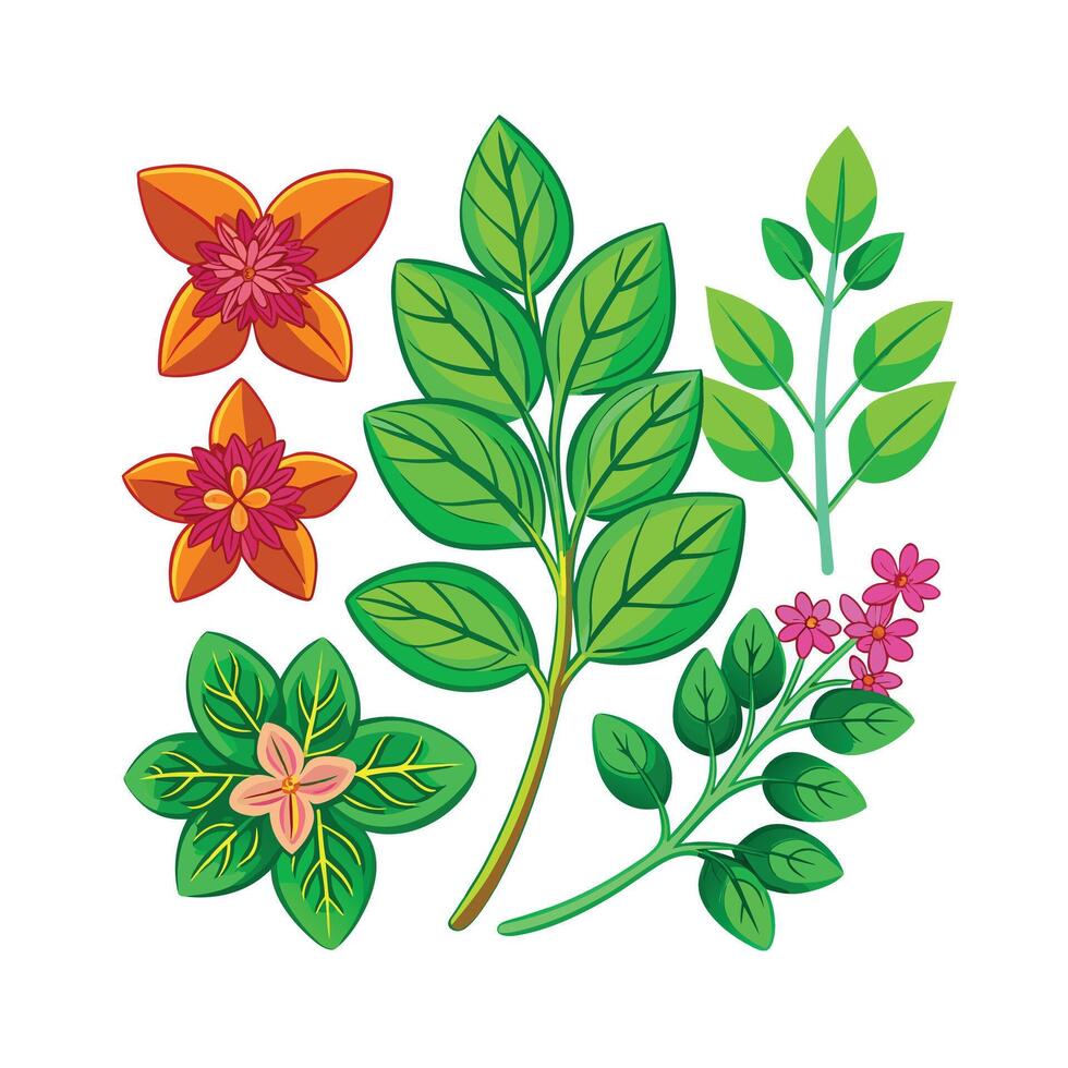 Realistic Beautiful Herbs Illustration vector