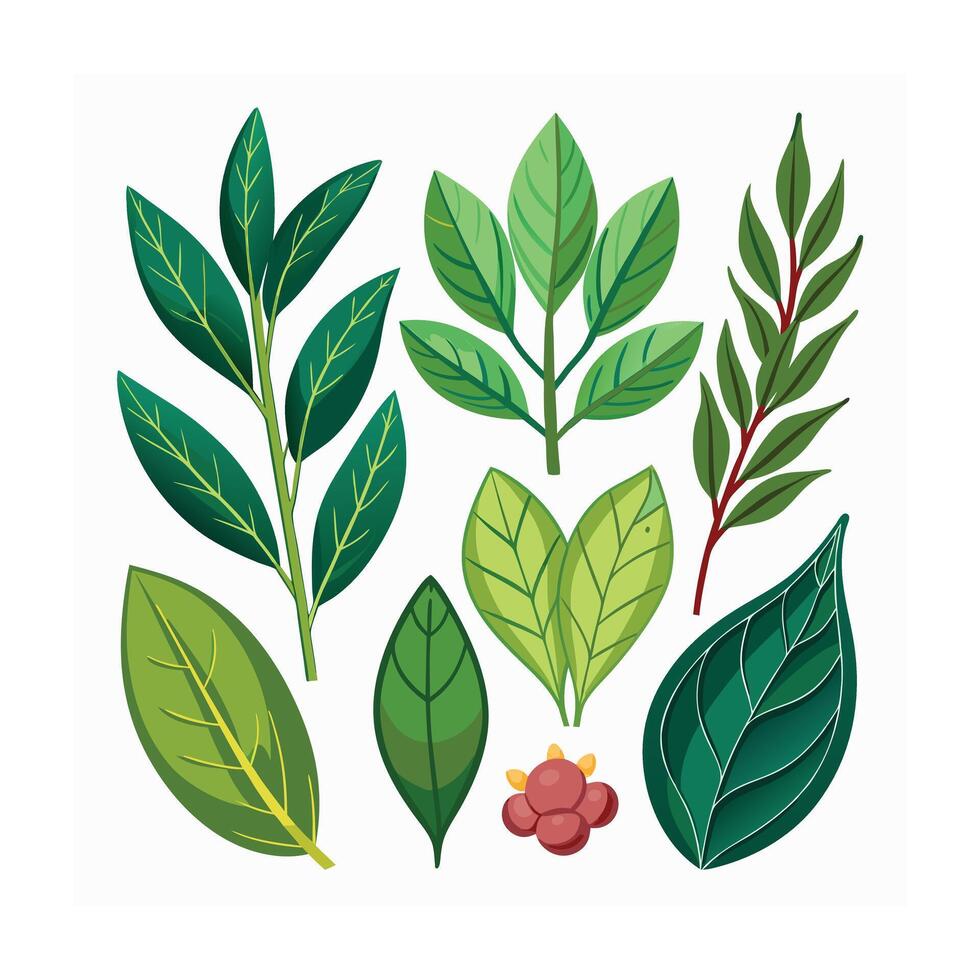 Realistic Beautiful Herbs Illustration vector
