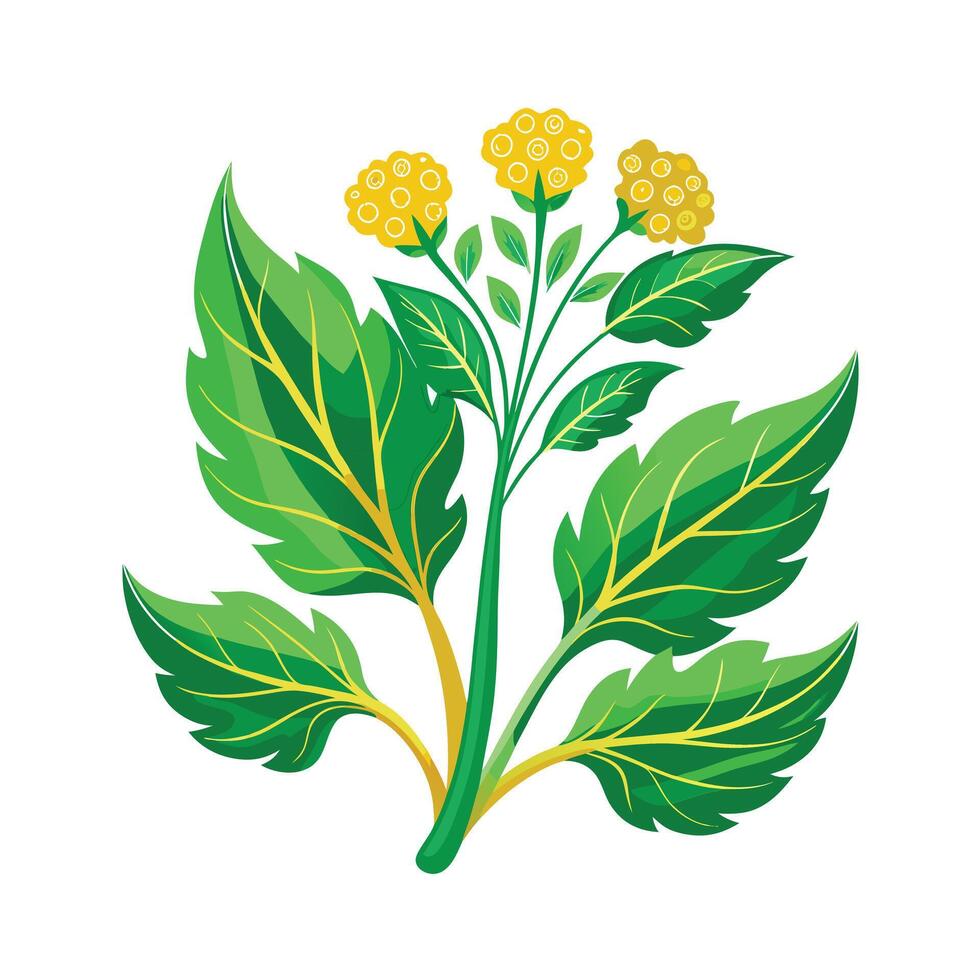 Realistic Beautiful Herbs Illustration vector