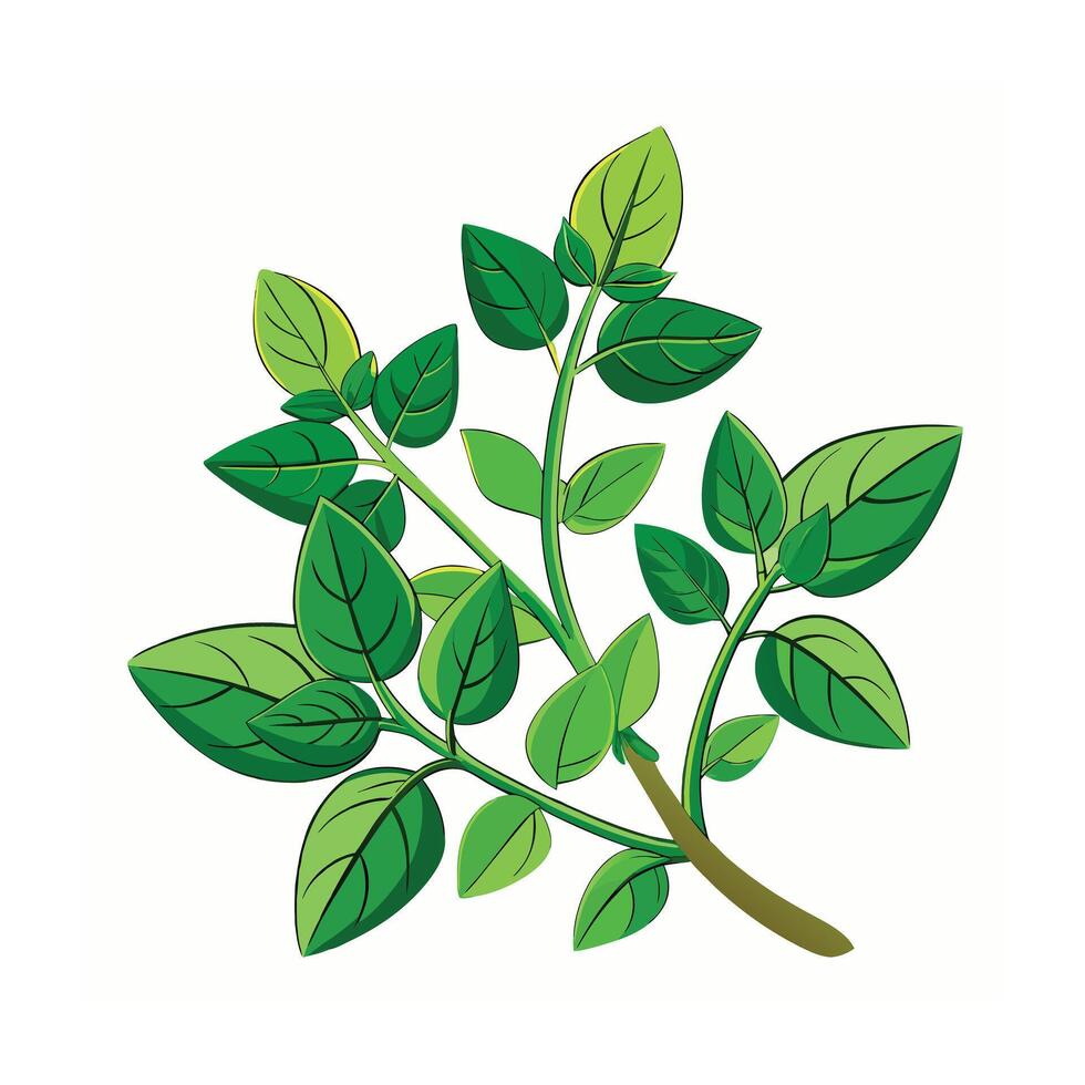 Realistic Beautiful Herbs Illustration vector