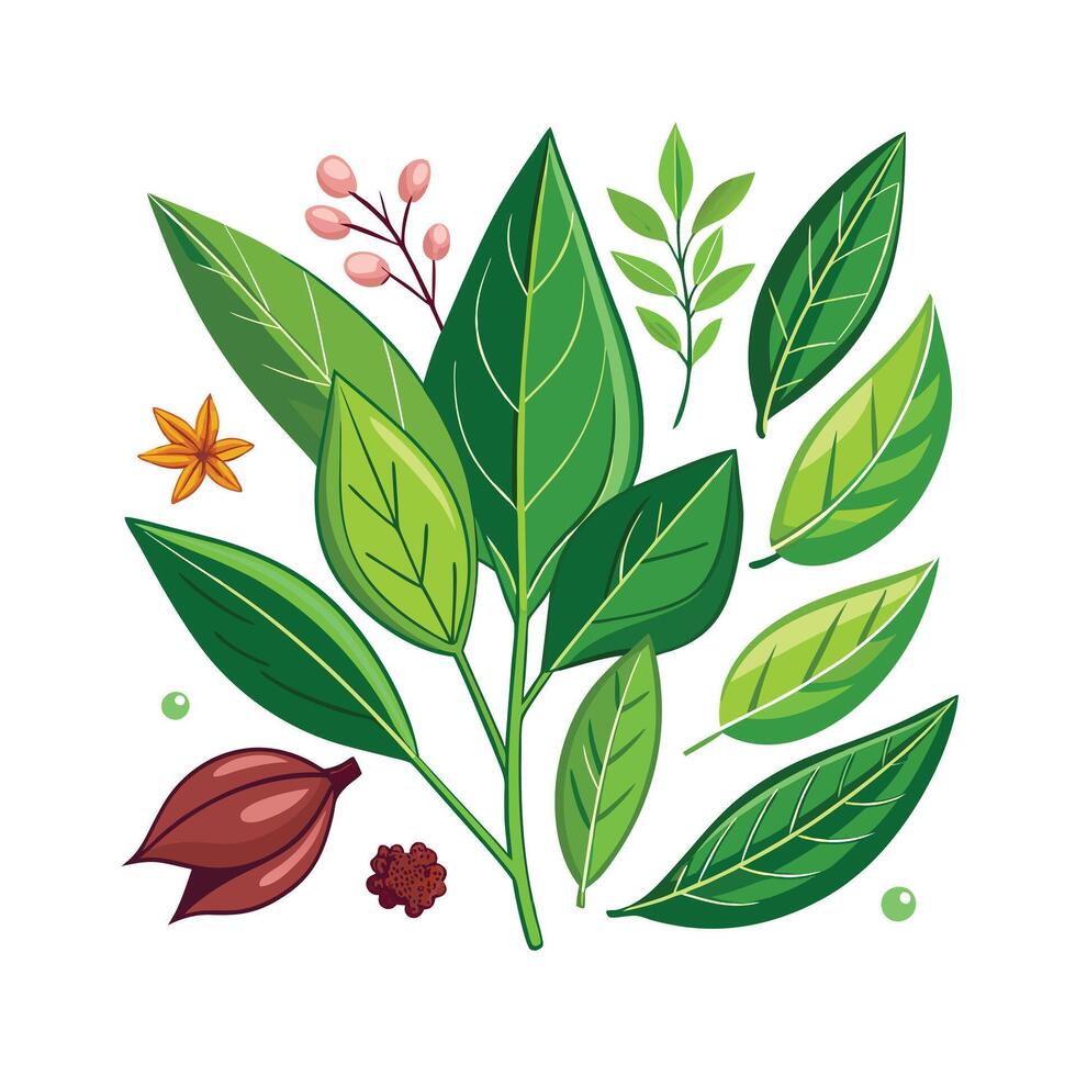 Realistic Beautiful Herbs Illustration vector