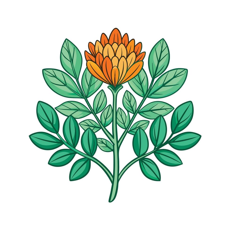 Realistic Beautiful Herbs Illustration vector