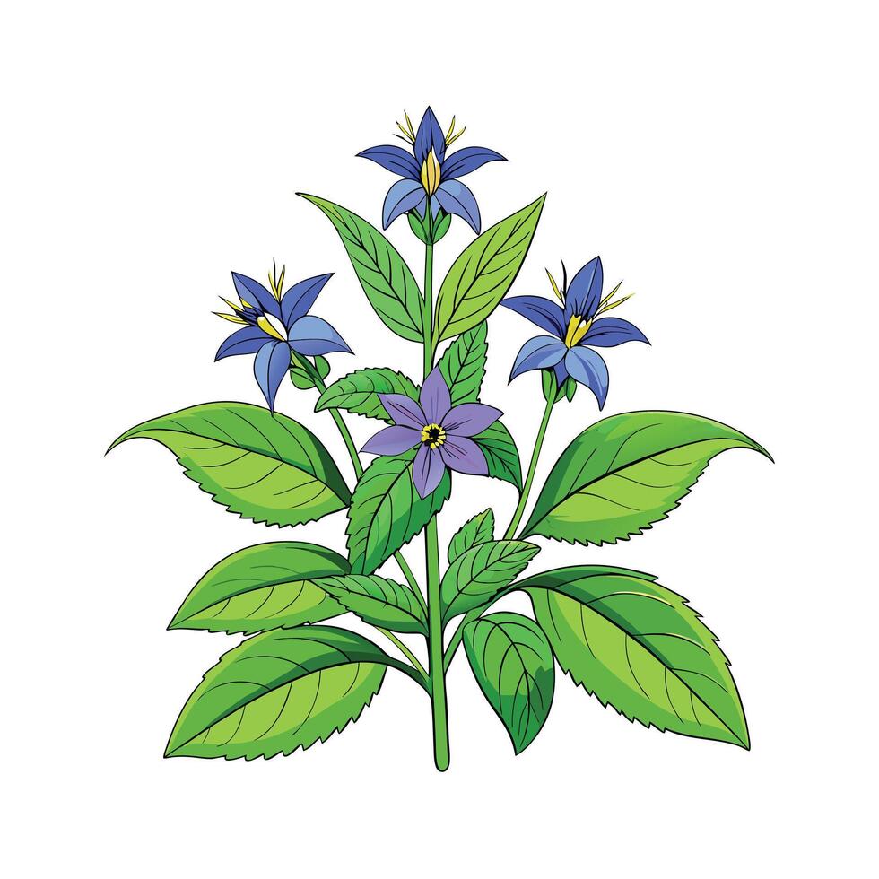 Realistic Beautiful Herbs Illustration vector