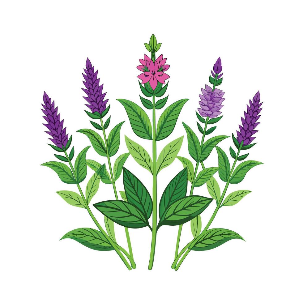 Realistic Beautiful Herbs Illustration vector