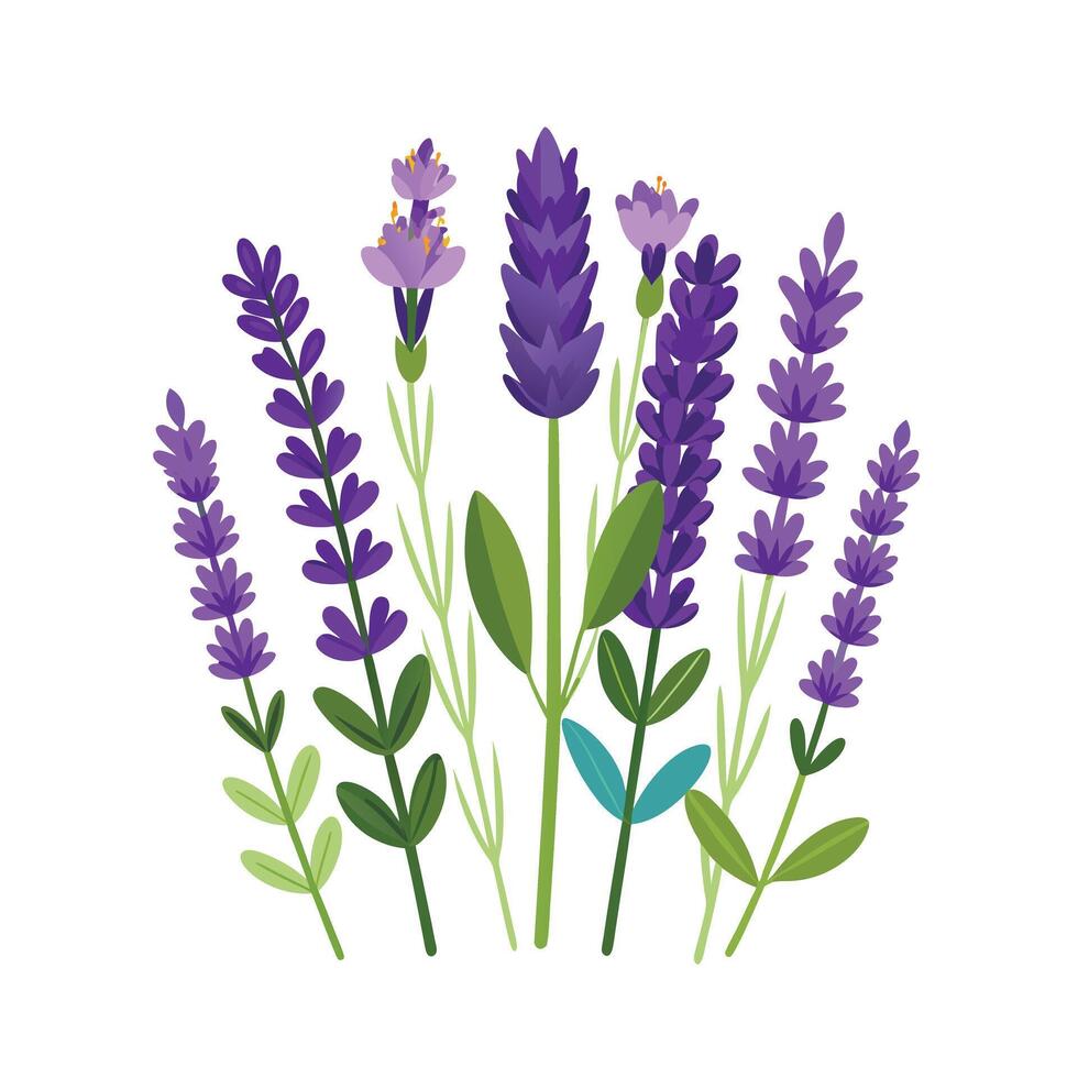 Realistic Beautiful Herbs Illustration vector