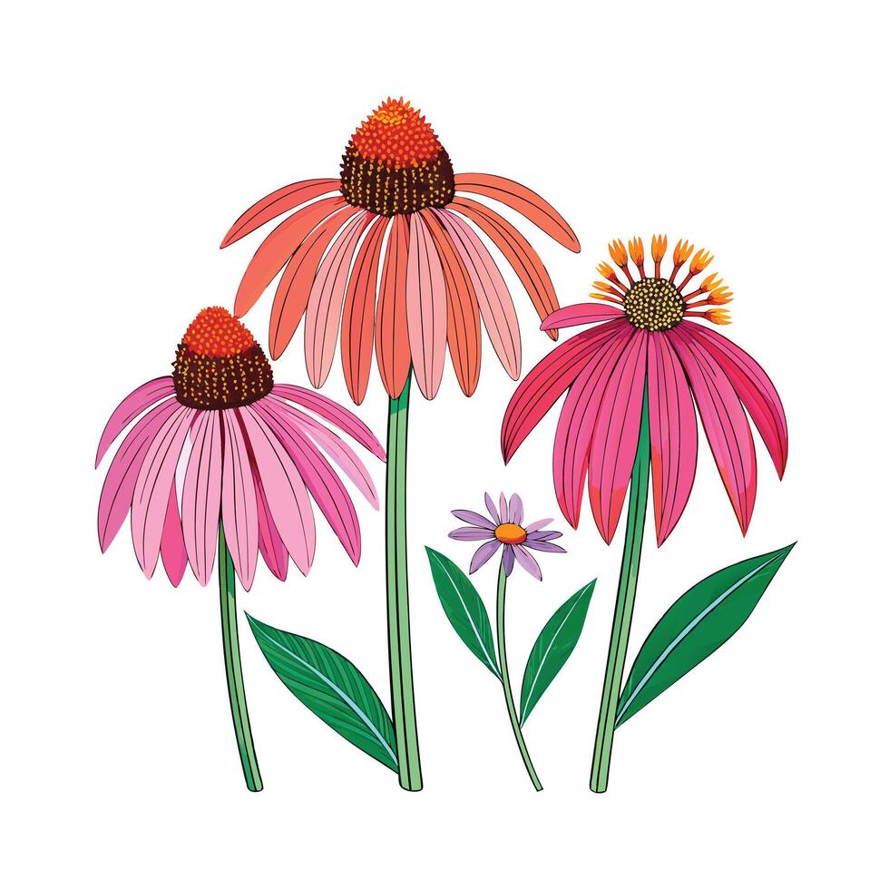 Realistic Beautiful Herbs Illustration vector