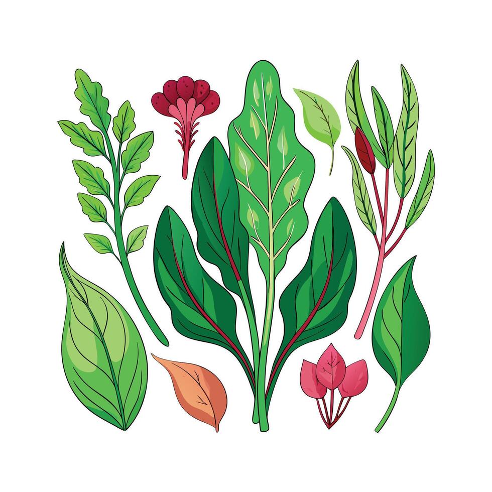 Realistic Beautiful Herbs Illustration vector