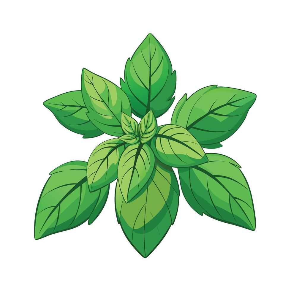 Realistic Beautiful Herbs Illustration vector