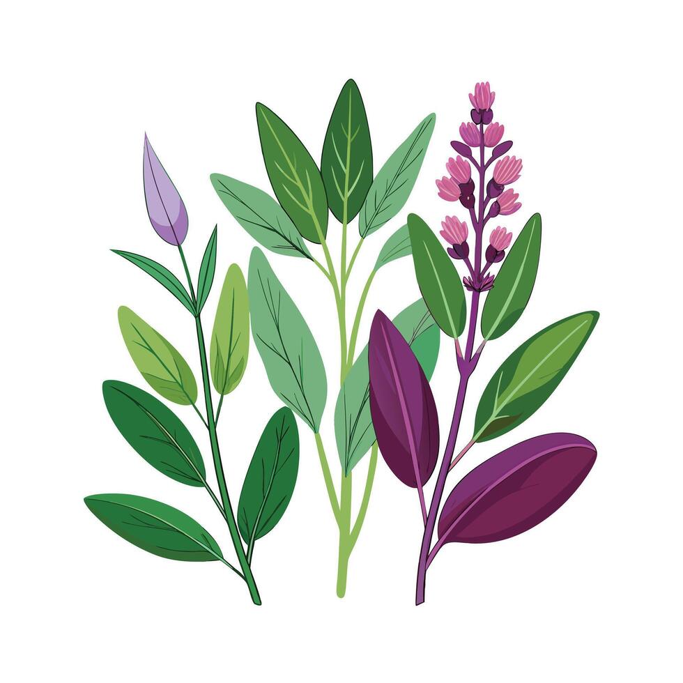 Realistic Beautiful Herbs Illustration vector