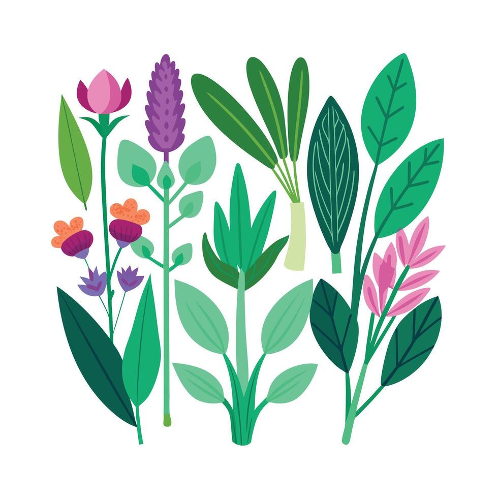 Realistic Beautiful Herbs Illustration vector