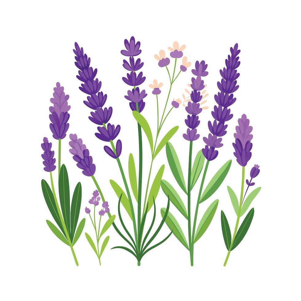 Realistic Beautiful Herbs Illustration vector