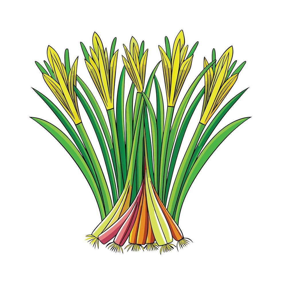 Realistic Beautiful Herbs Illustration vector