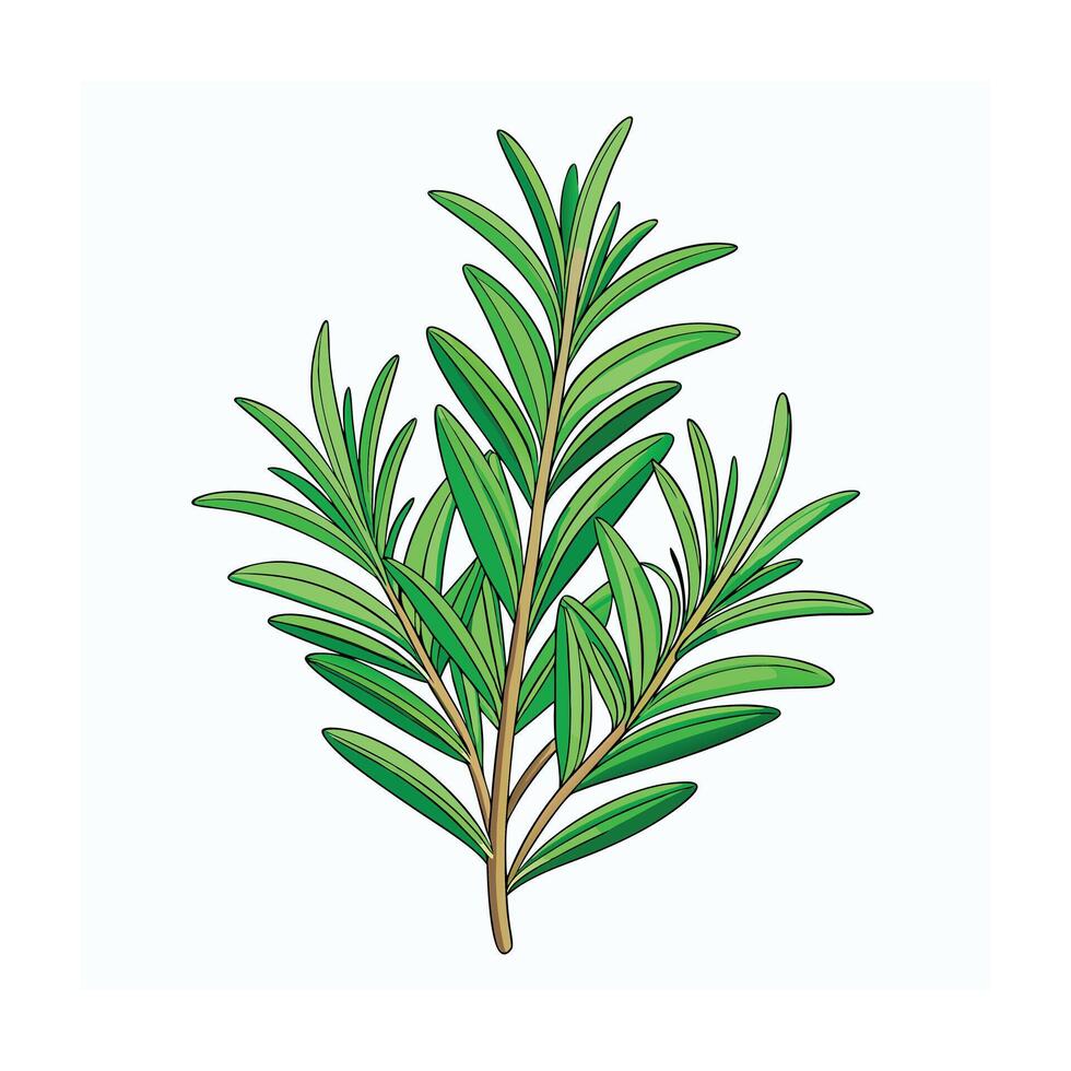 Realistic Beautiful Herbs Illustration vector