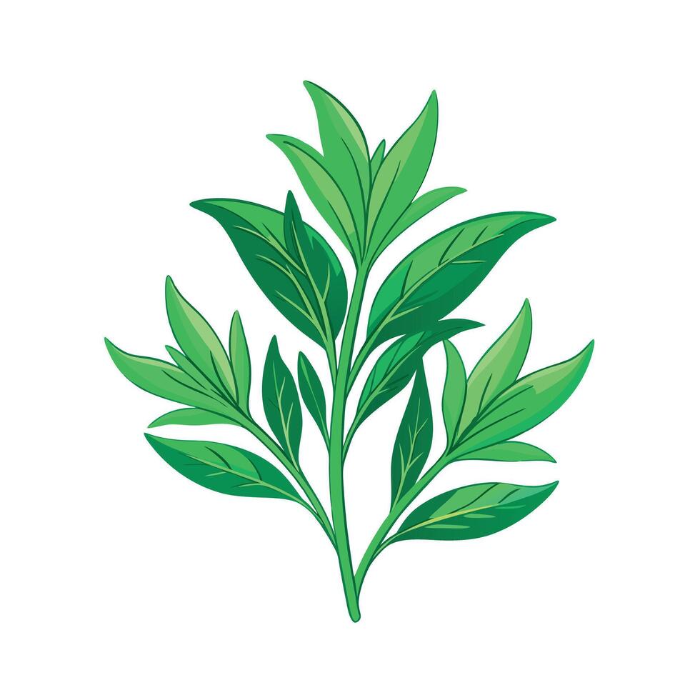 Realistic Beautiful Herbs Illustration vector