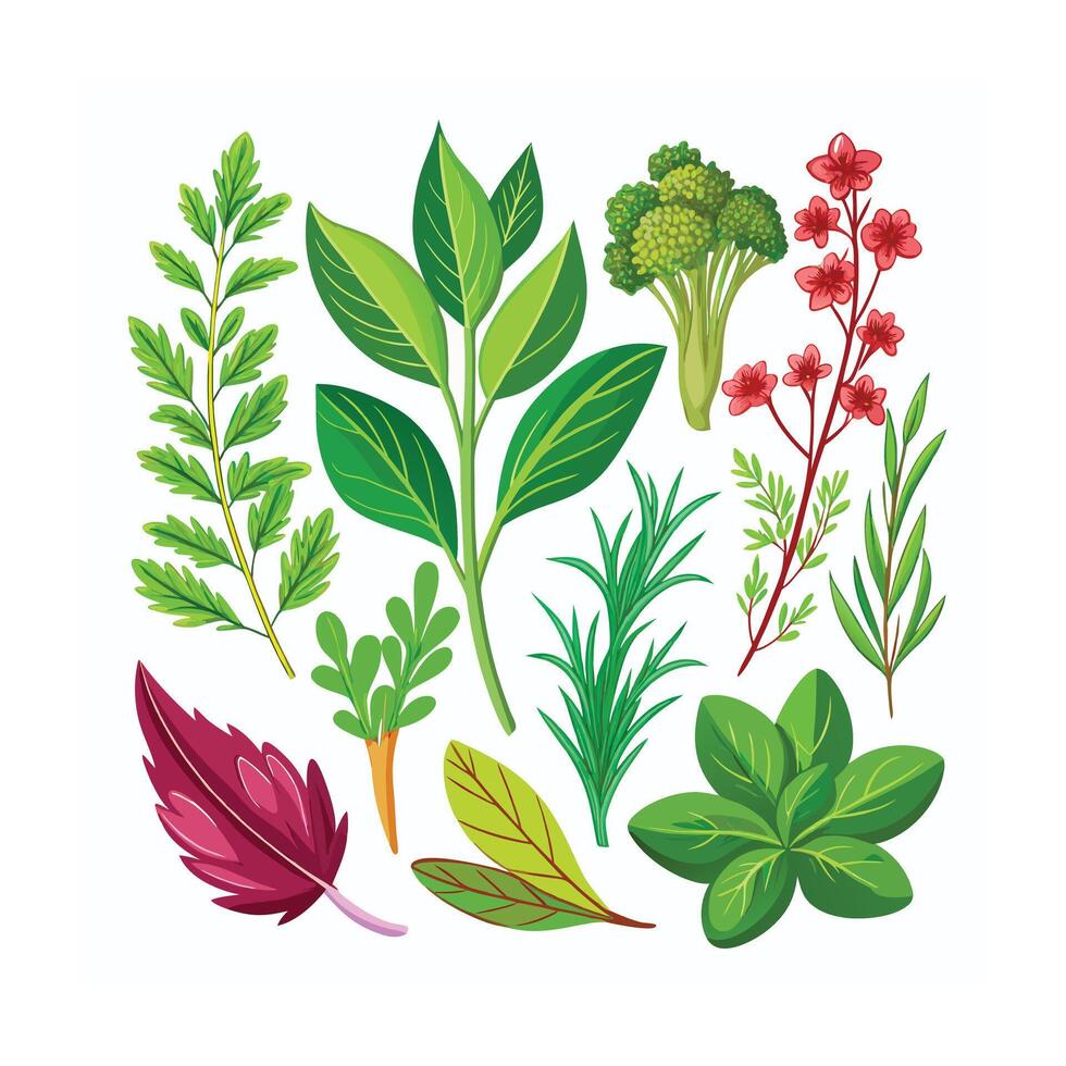 Realistic Beautiful Herbs Illustration vector