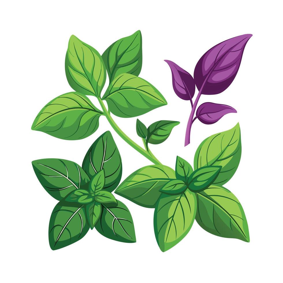 Realistic Beautiful Herbs Illustration vector