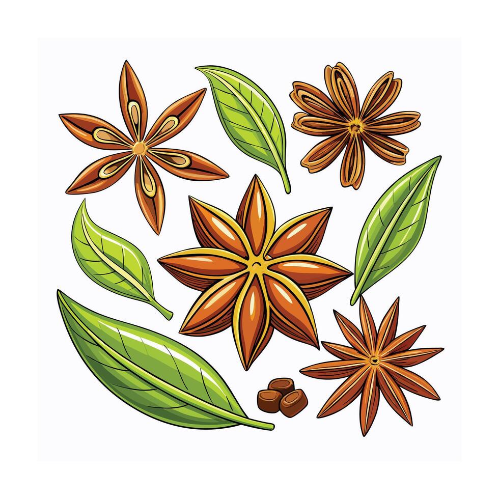Realistic Beautiful Herbs Illustration vector