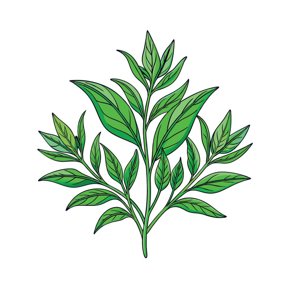 Realistic Beautiful Herbs Illustration vector