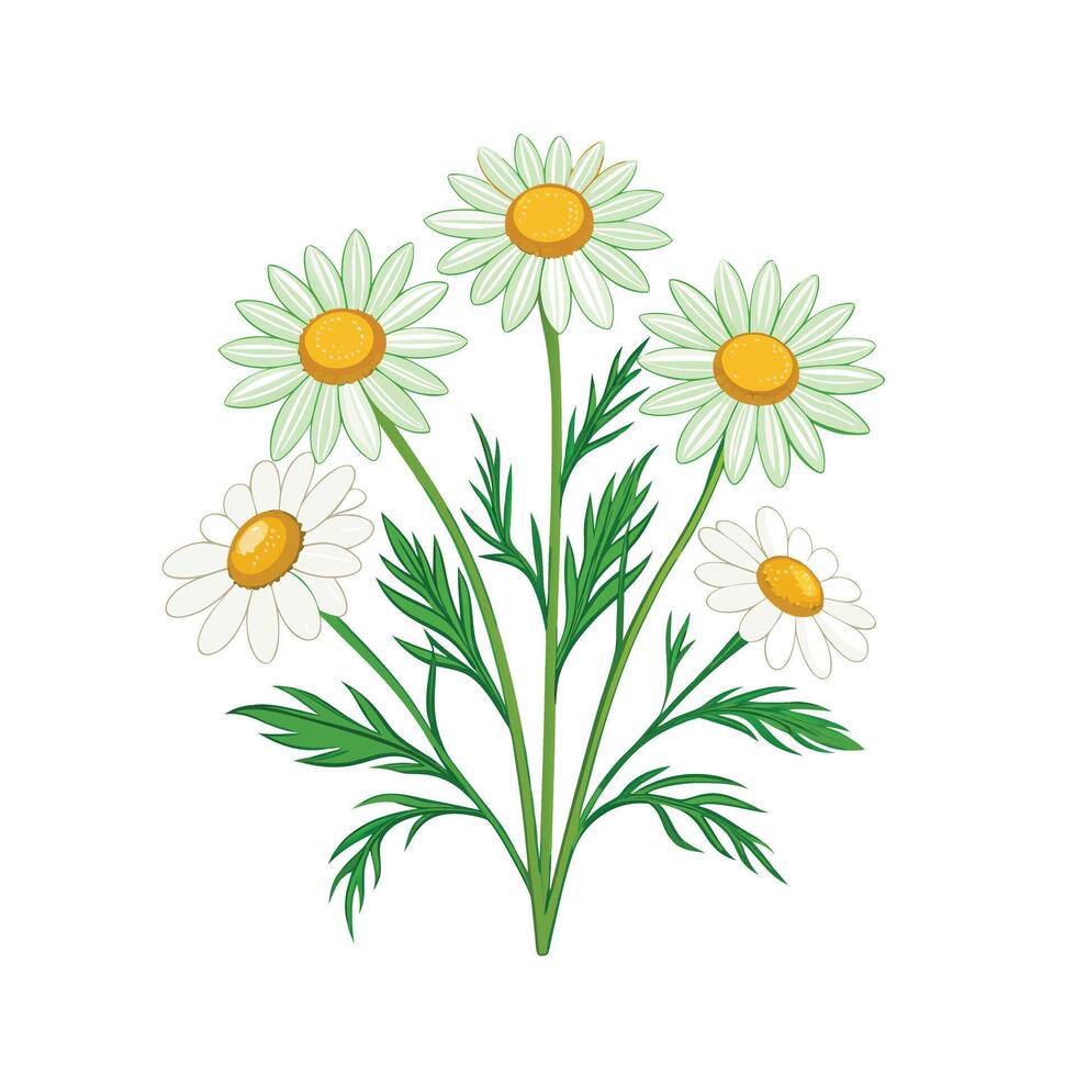 Realistic Beautiful Herbs Illustration vector