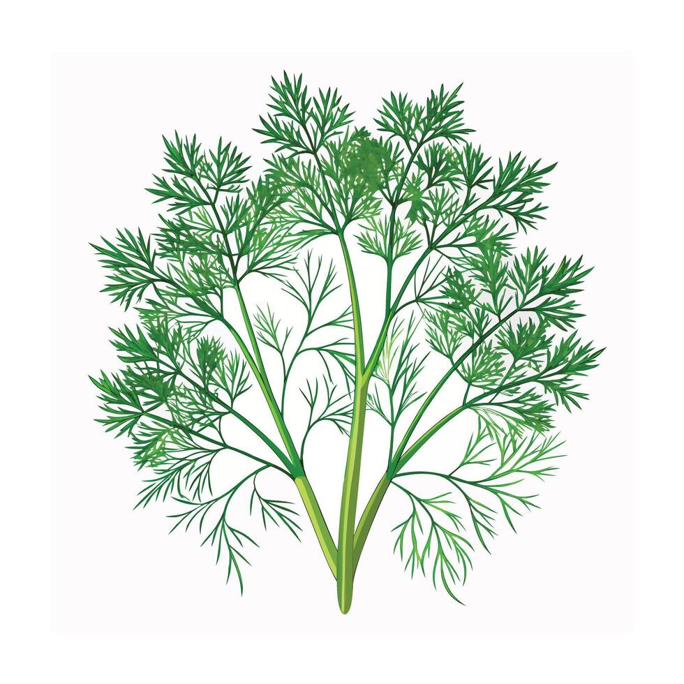 Realistic Beautiful Herbs Illustration vector