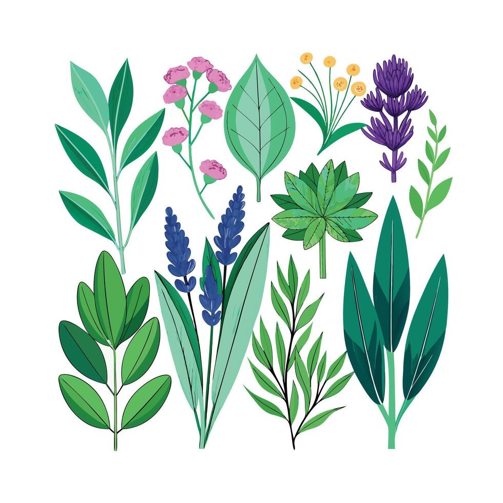 Realistic Beautiful Herbs Illustration vector