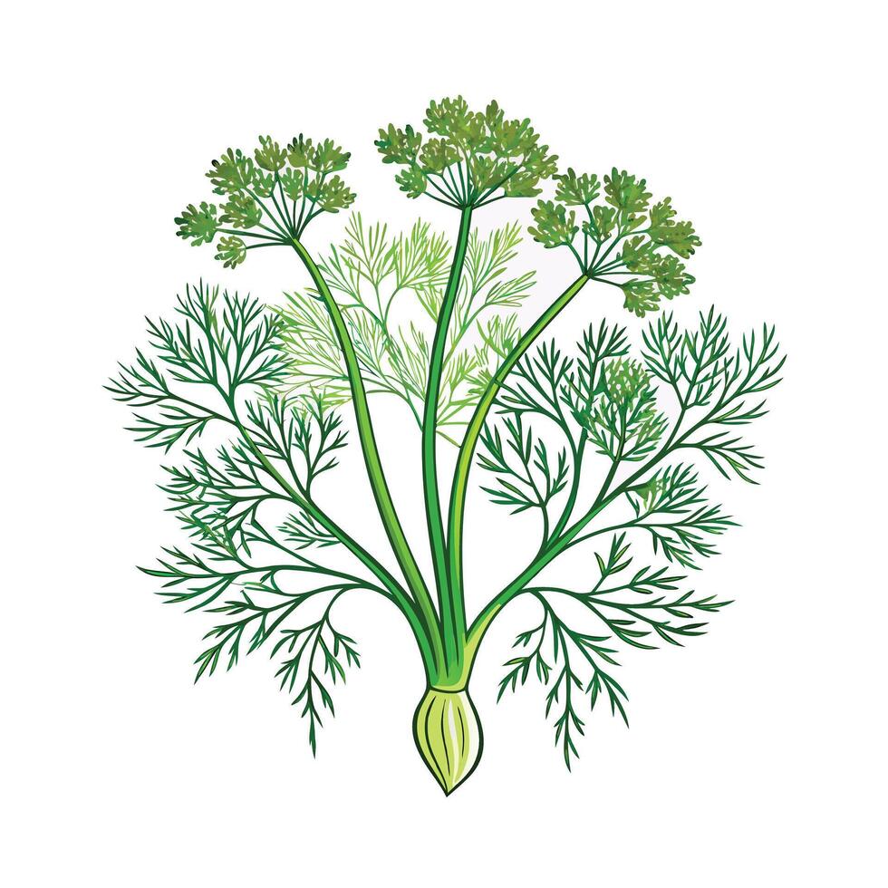Realistic Beautiful Herbs Illustration vector