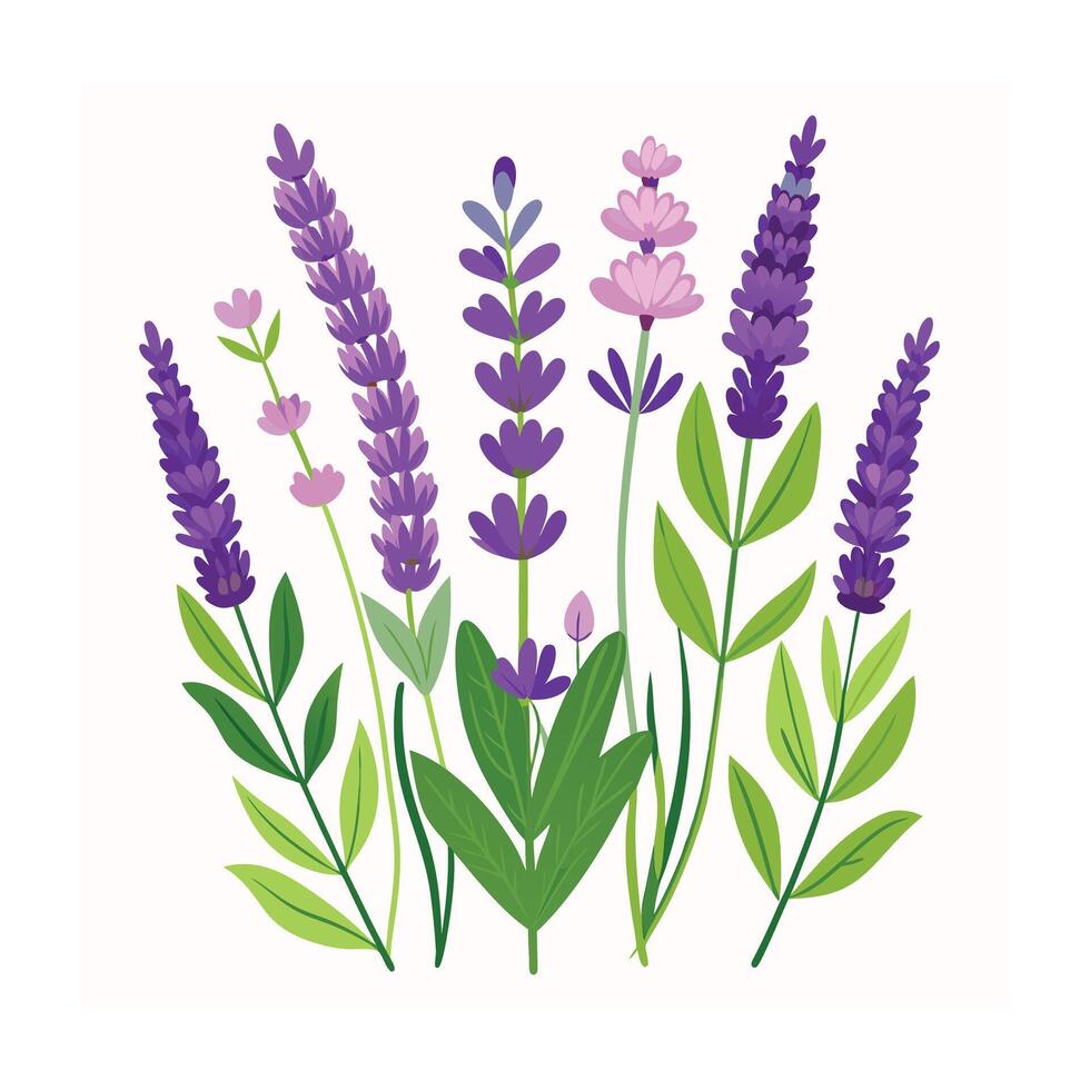Realistic Beautiful Herbs Illustration vector