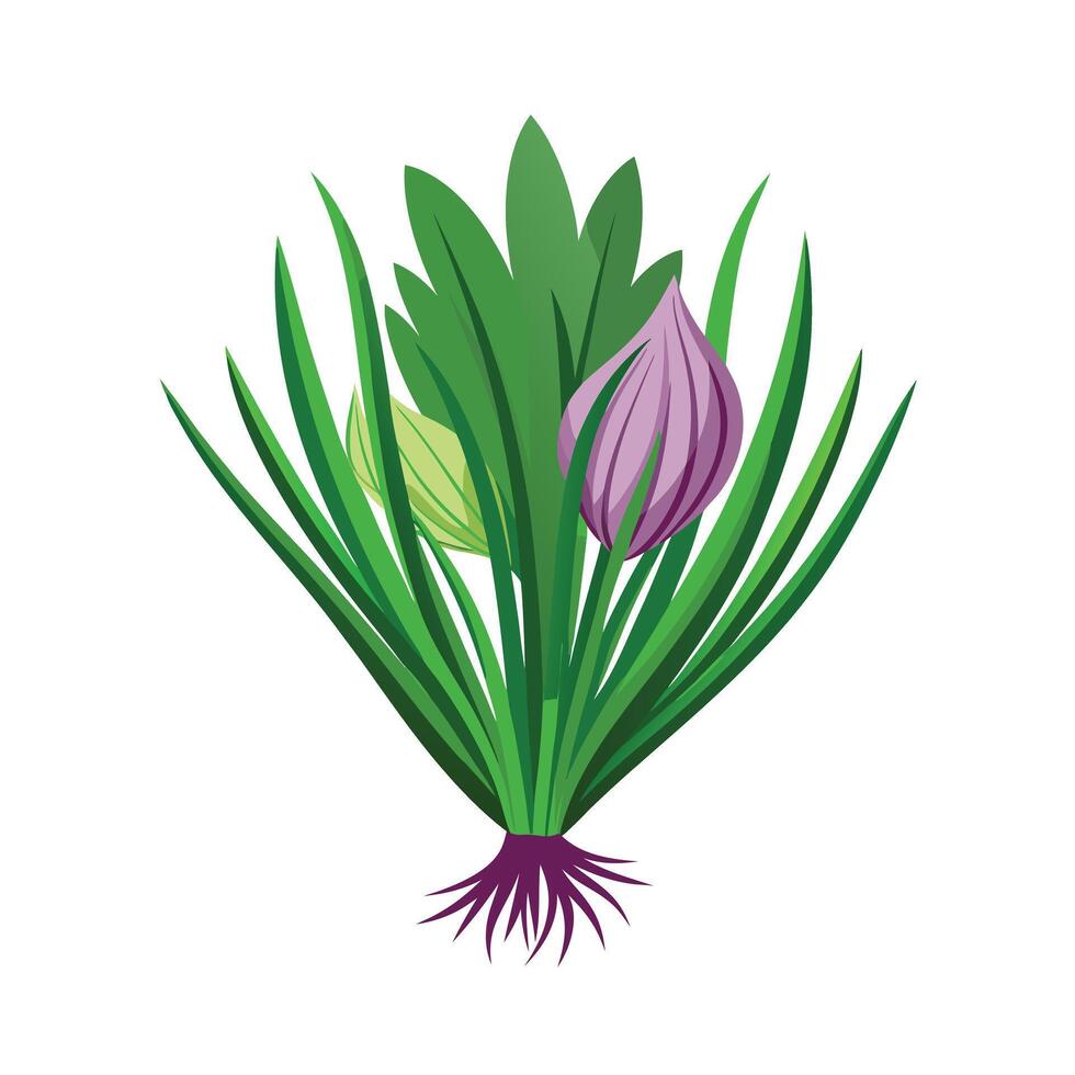 Realistic Beautiful Herbs Illustration vector