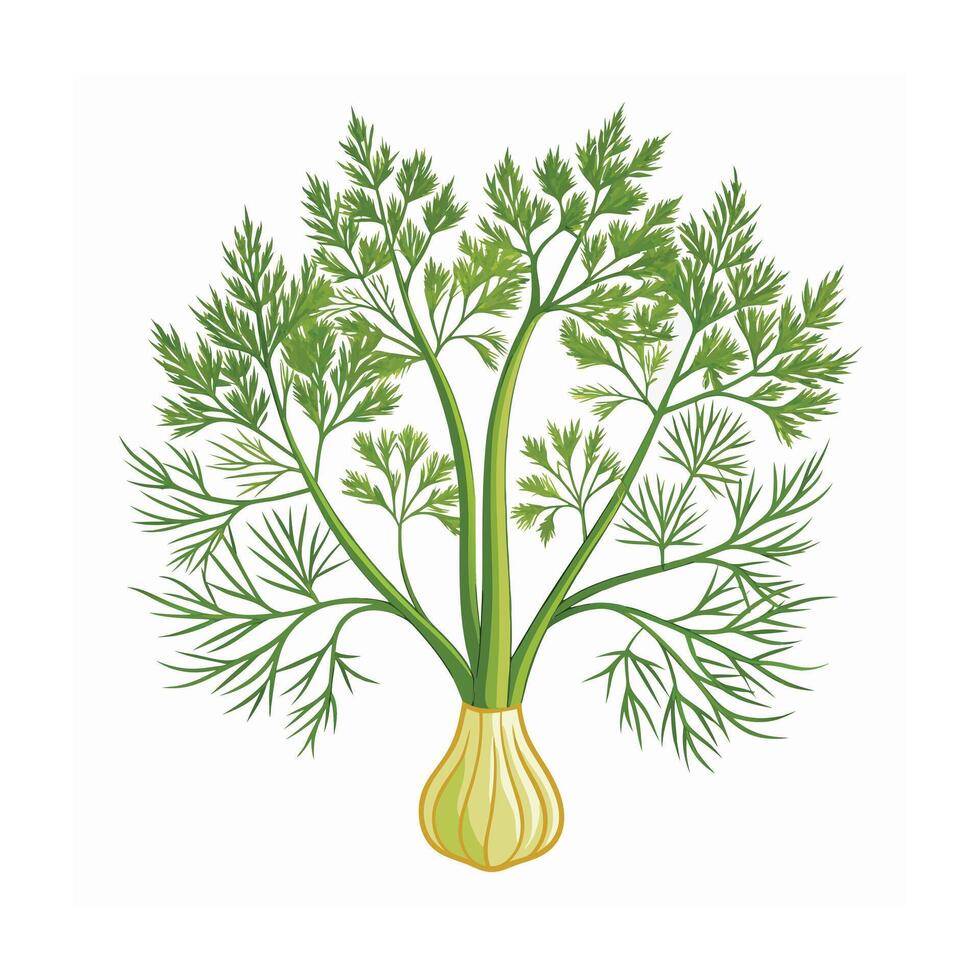 Realistic Beautiful Herbs Illustration vector
