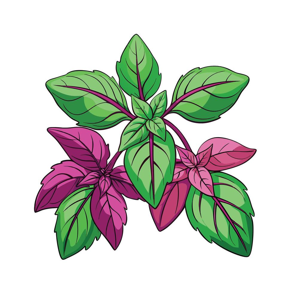 Realistic Beautiful Herbs Illustration vector