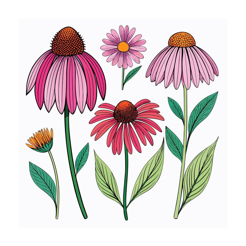 Realistic Beautiful Herbs Illustration vector