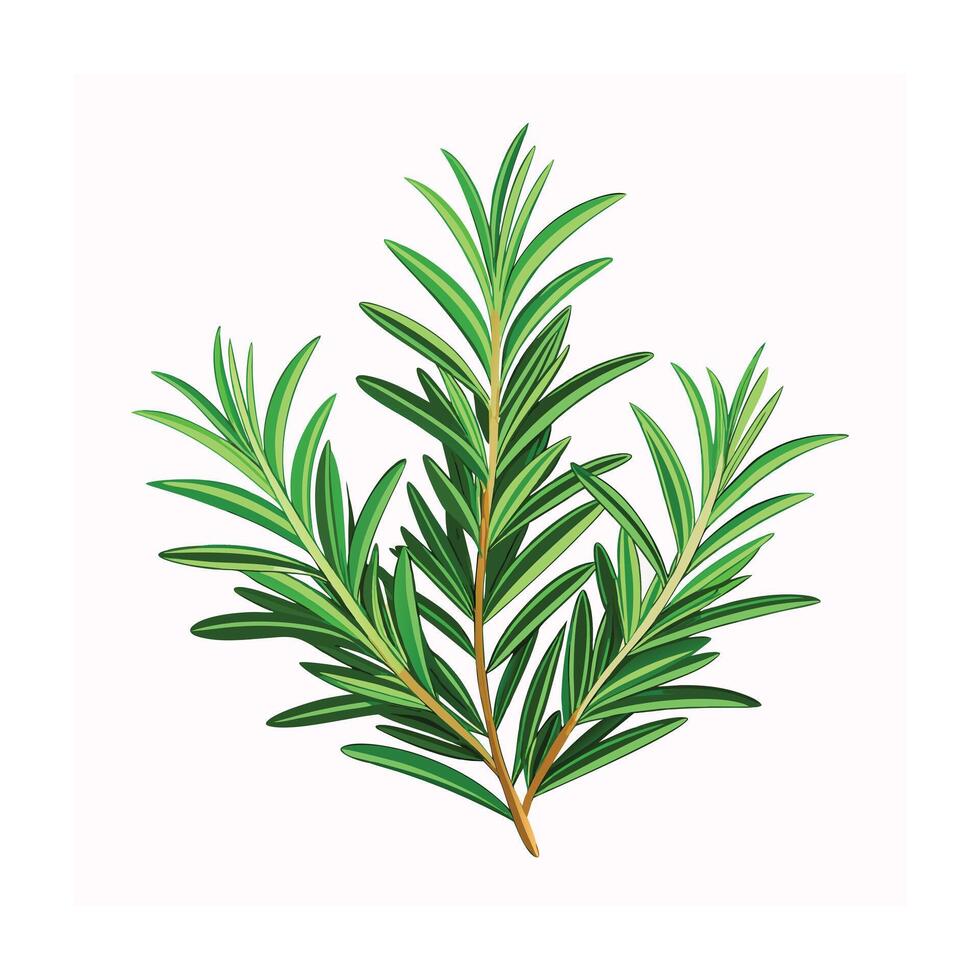 Realistic Beautiful Herbs Illustration vector