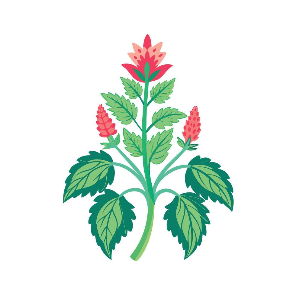 Realistic Beautiful Herbs Illustration vector