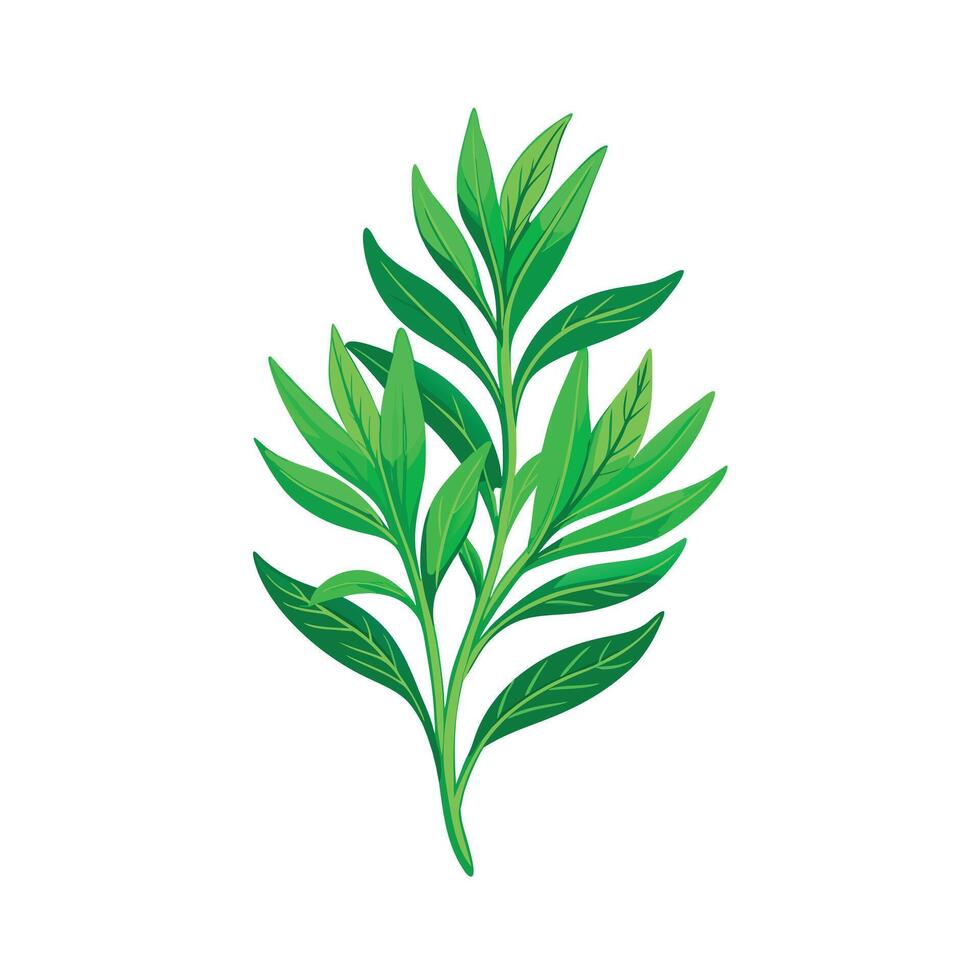 Realistic Beautiful Herbs Illustration vector