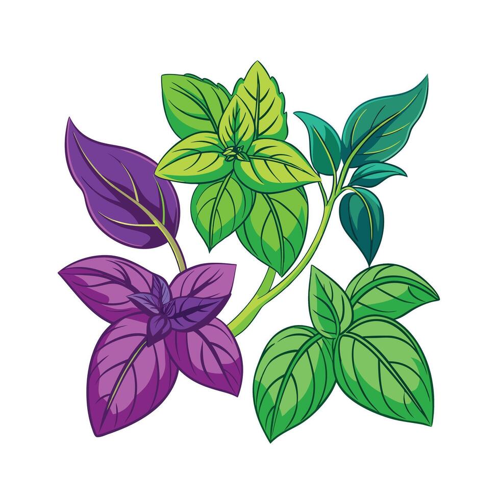 Realistic Beautiful Herbs Illustration vector