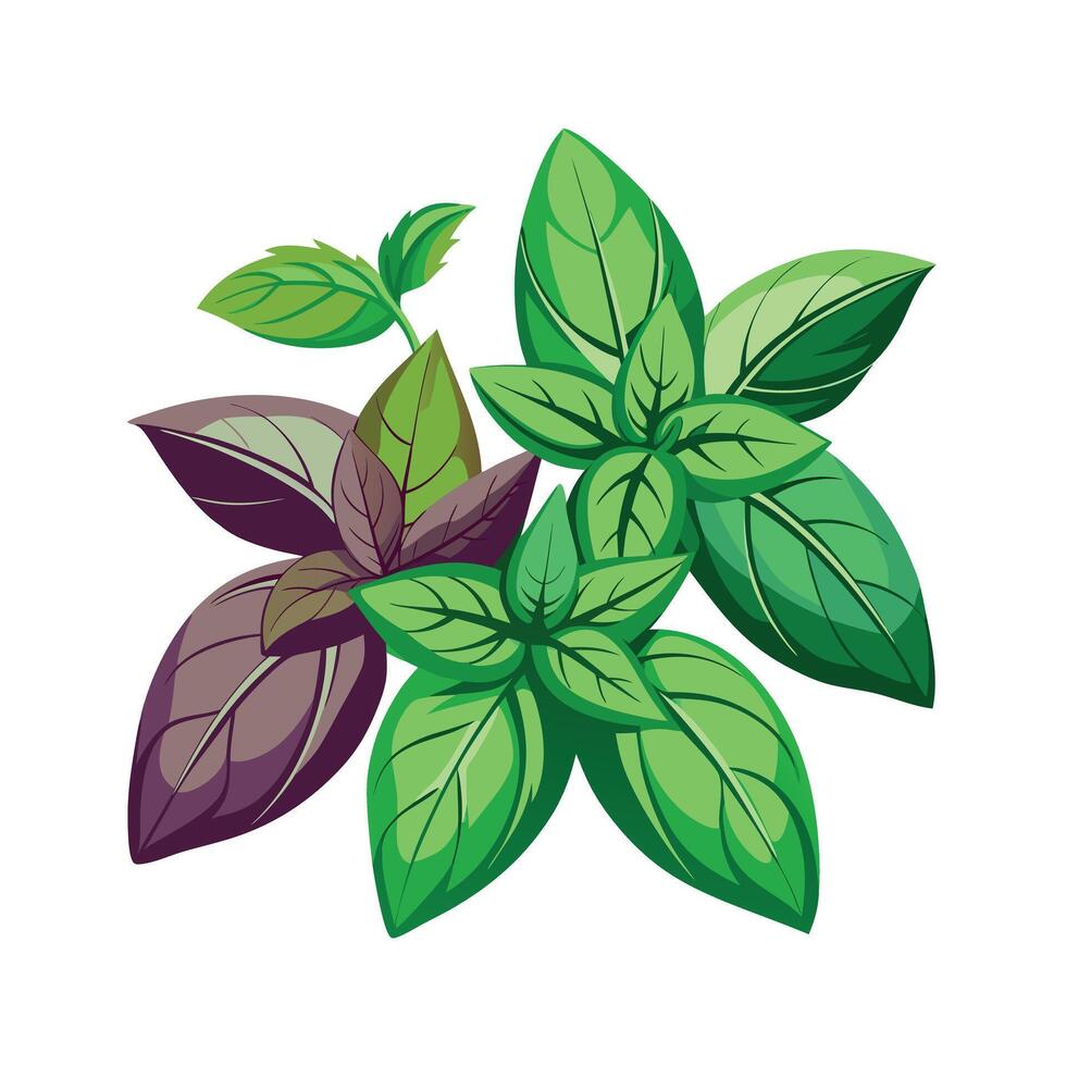 Realistic Beautiful Herbs Illustration vector