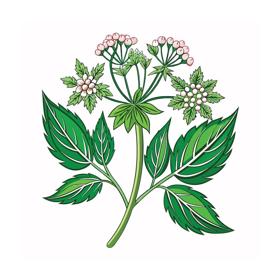 Realistic Beautiful Herbs Illustration vector