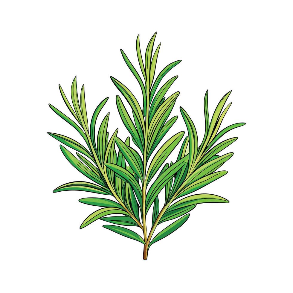 Realistic Beautiful Herbs Illustration vector