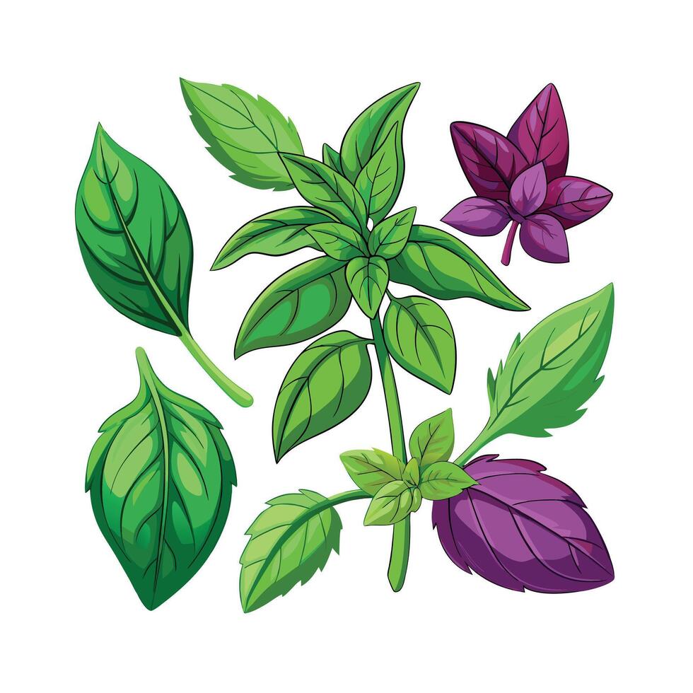 Realistic Beautiful Herbs Illustration vector