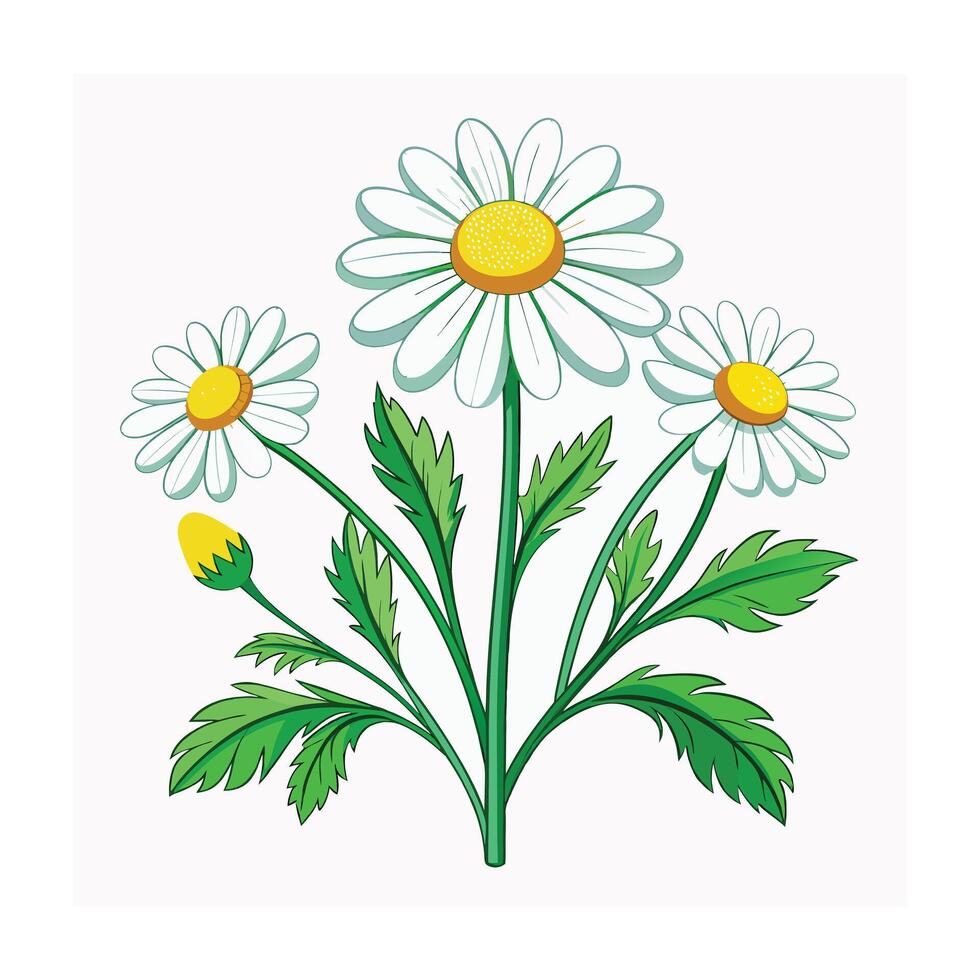 Realistic Beautiful Herbs Illustration vector