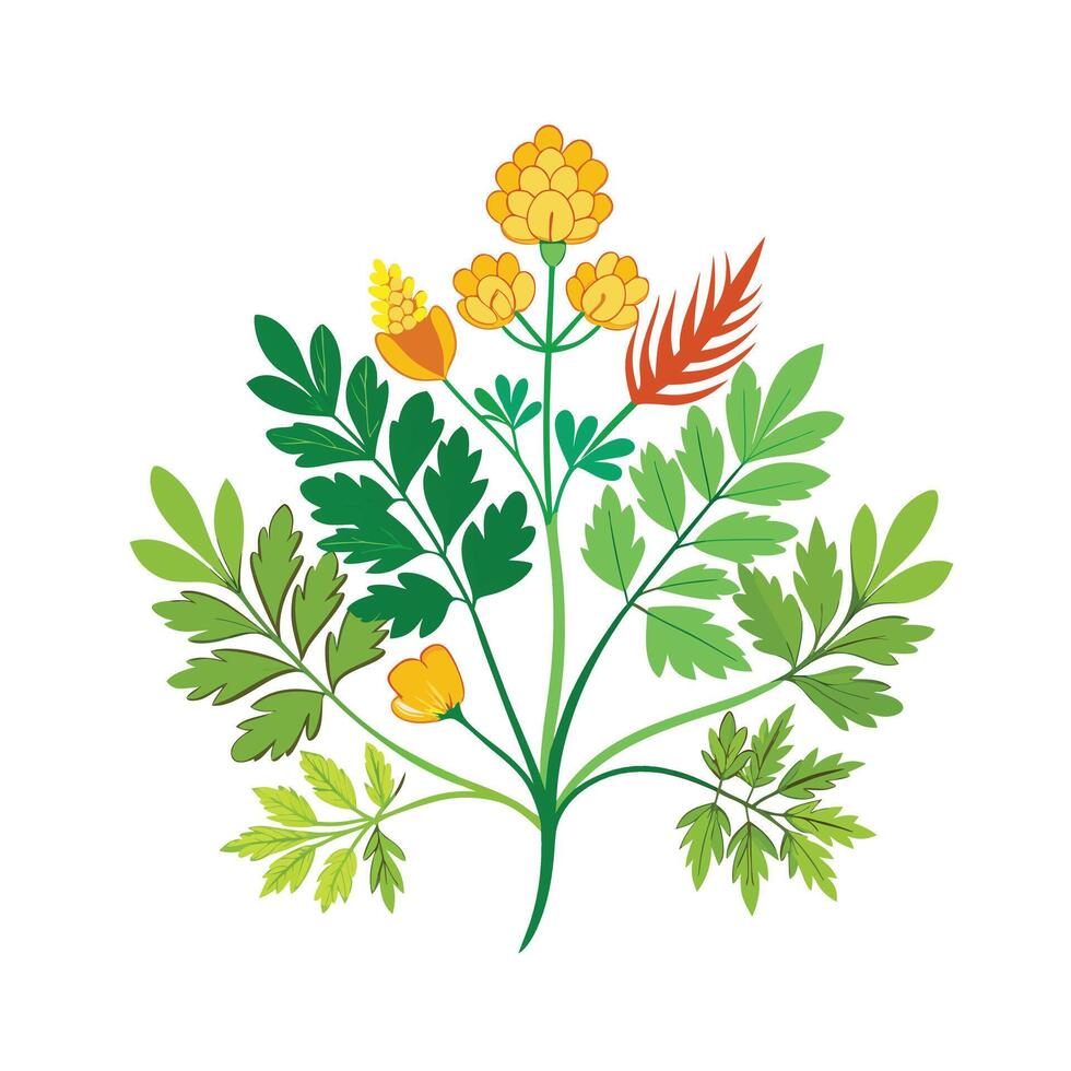 Realistic Beautiful Herbs Illustration vector