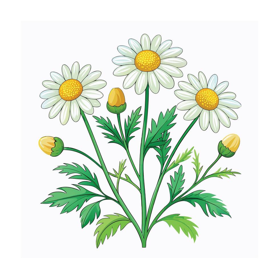 Realistic Beautiful Herbs Illustration vector